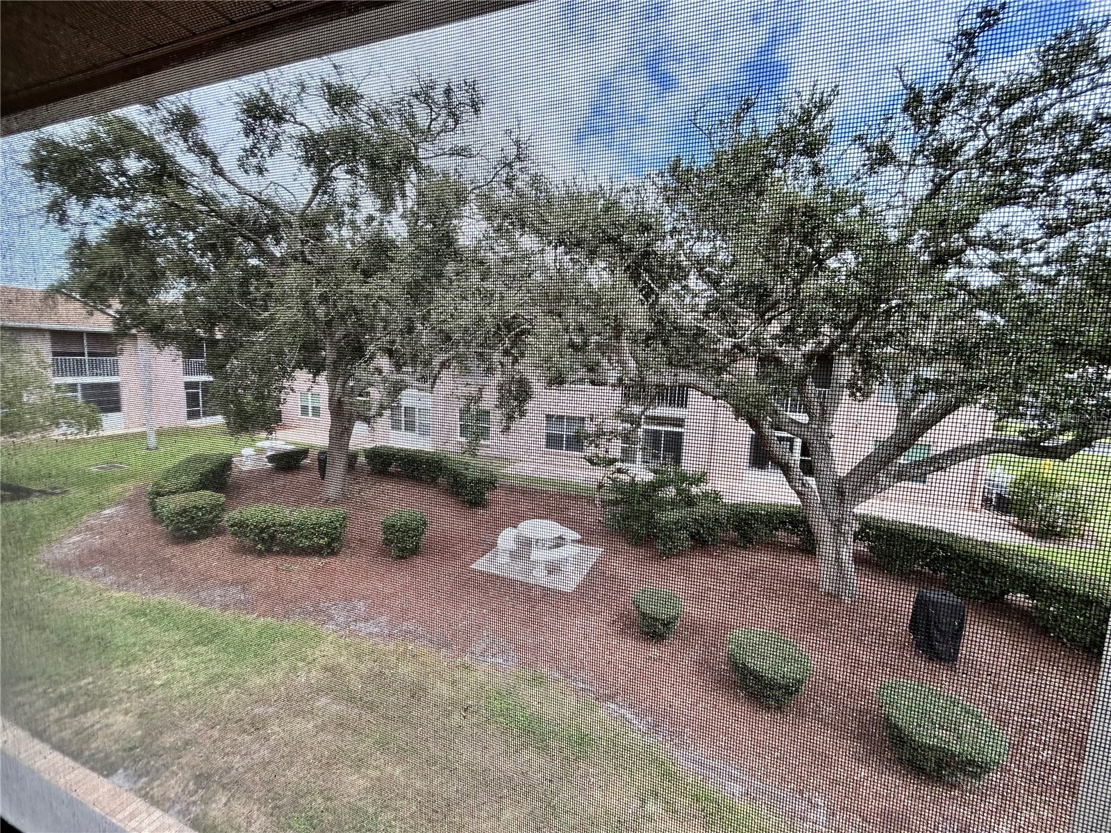 4826 Myrtle Oak Drive #23 New Port Richey FL 34653 W7882051 image18