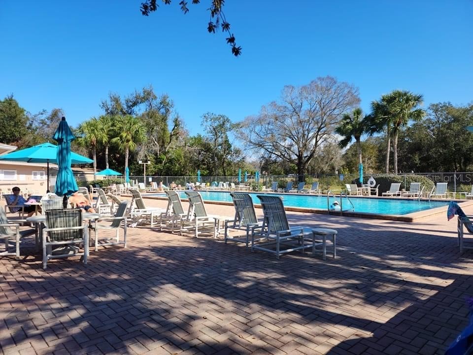 4826 Myrtle Oak Drive #23 New Port Richey FL 34653 W7882051 image36