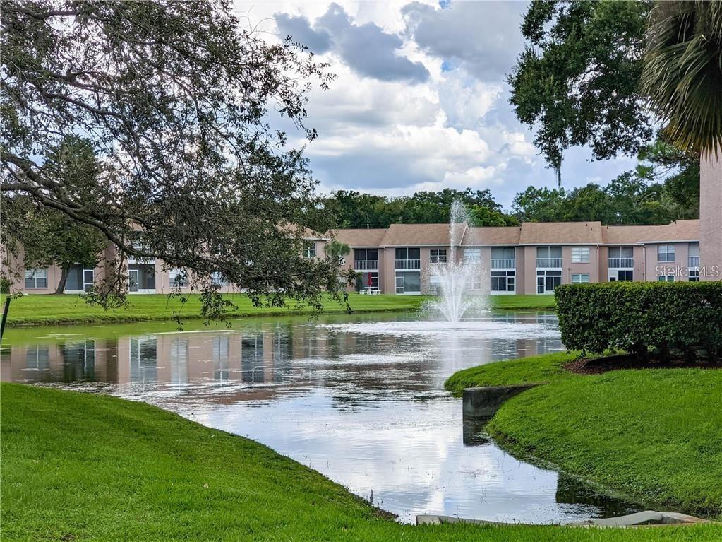 4826 Myrtle Oak Drive #23 New Port Richey FL 34653 W7882051 image38