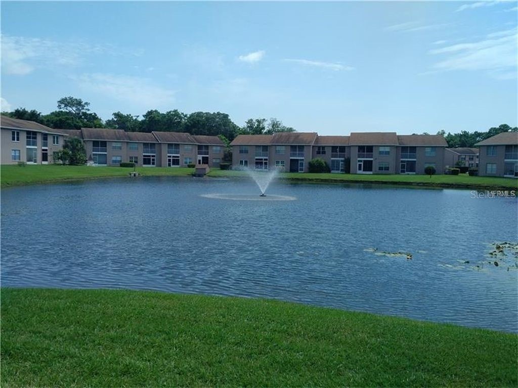 4826 Myrtle Oak Drive #23 New Port Richey FL 34653 W7882051 image43