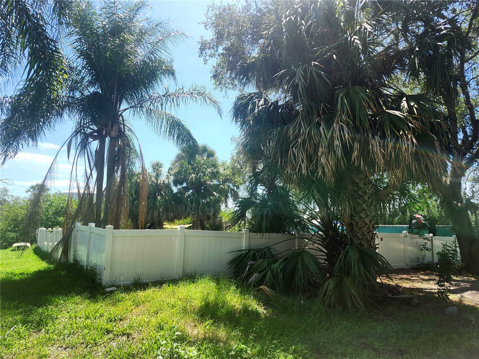 4826 Treasure Drive New Port Richey FL 34652 - CANAL TO GULF OF MEXICO TB8512305 image2