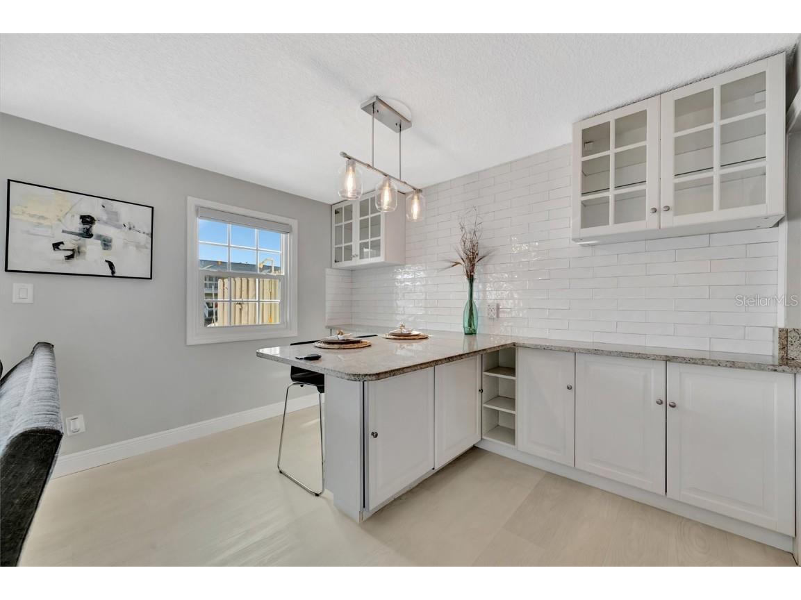 4827 Coquina Key Drive SE #B Saint Petersburg FL 33705 TB8438118 image7