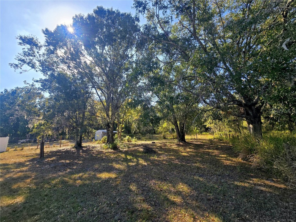 4827 Myrick Avenue Bowling Green FL 33834 A4672802 image4