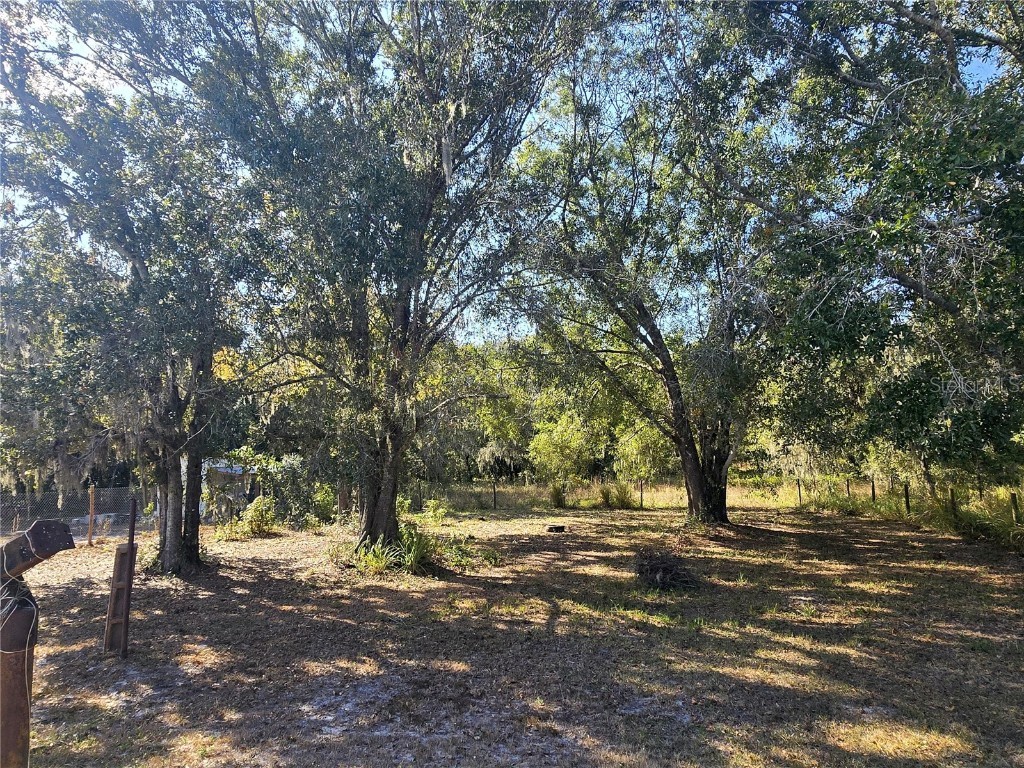 4827 Myrick Avenue Bowling Green FL 33834 A4672802 image5