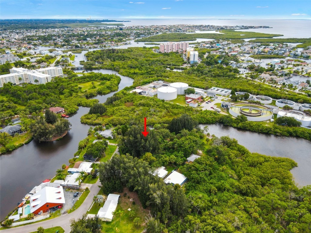 4827 Treasure Drive New Port Richey FL 34652 TB8338689 image2