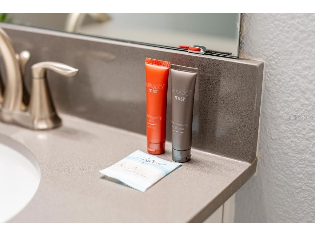 4828 Dedication Street Kissimmee FL 34746 O6367374 image11