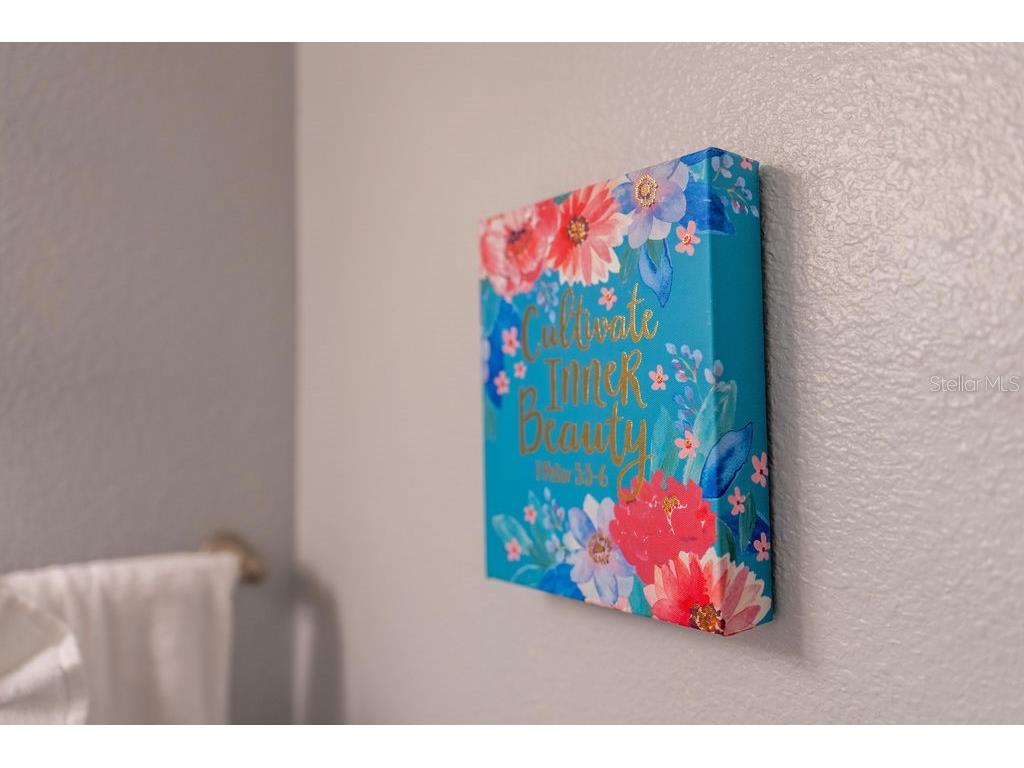 4828 Dedication Street Kissimmee FL 34746 O6367374 image14