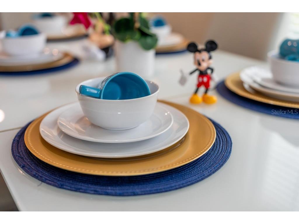 4828 Dedication Street Kissimmee FL 34746 O6367374 image24