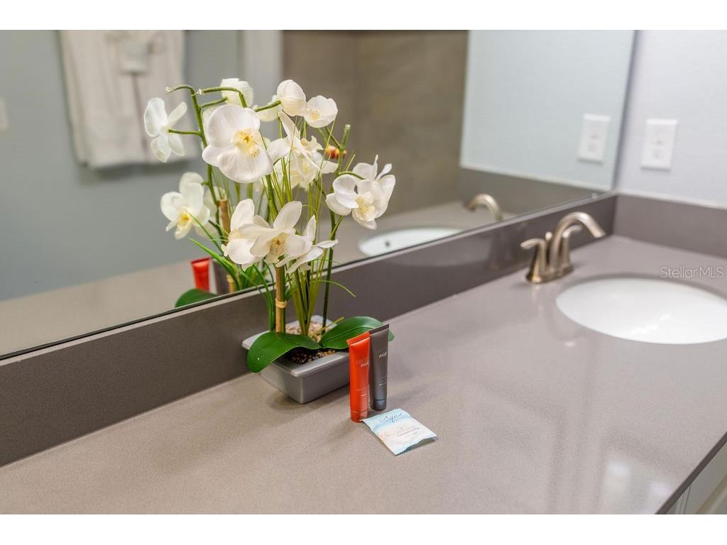 4828 Dedication Street Kissimmee FL 34746 O6367374 image4