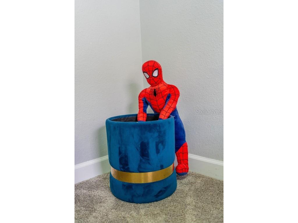 4828 Dedication Street Kissimmee FL 34746 O6367374 image5