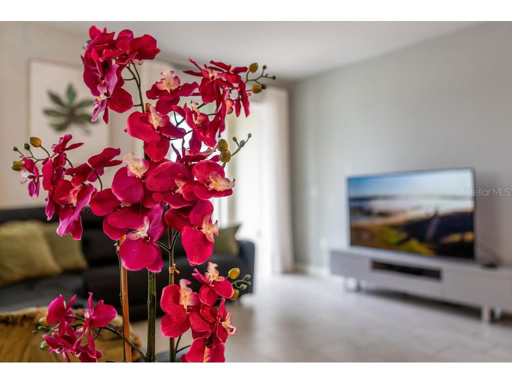 4828 Dedication Street Kissimmee FL 34746 O6367374 image72