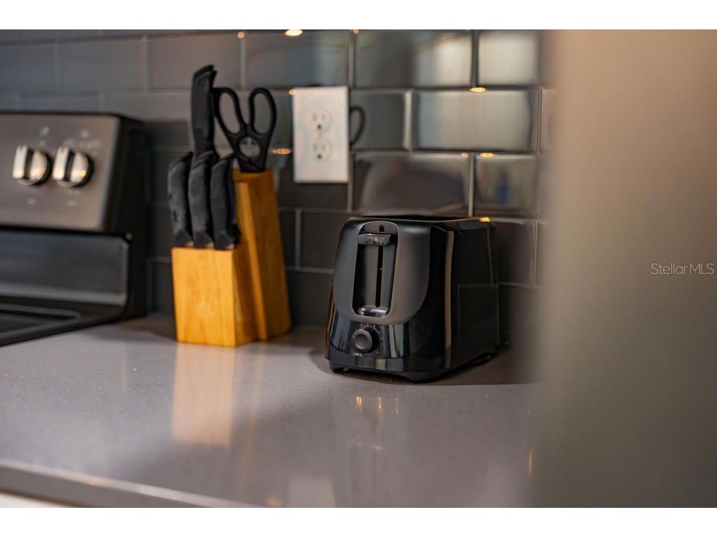 4828 Dedication Street Kissimmee FL 34746 O6367374 image74