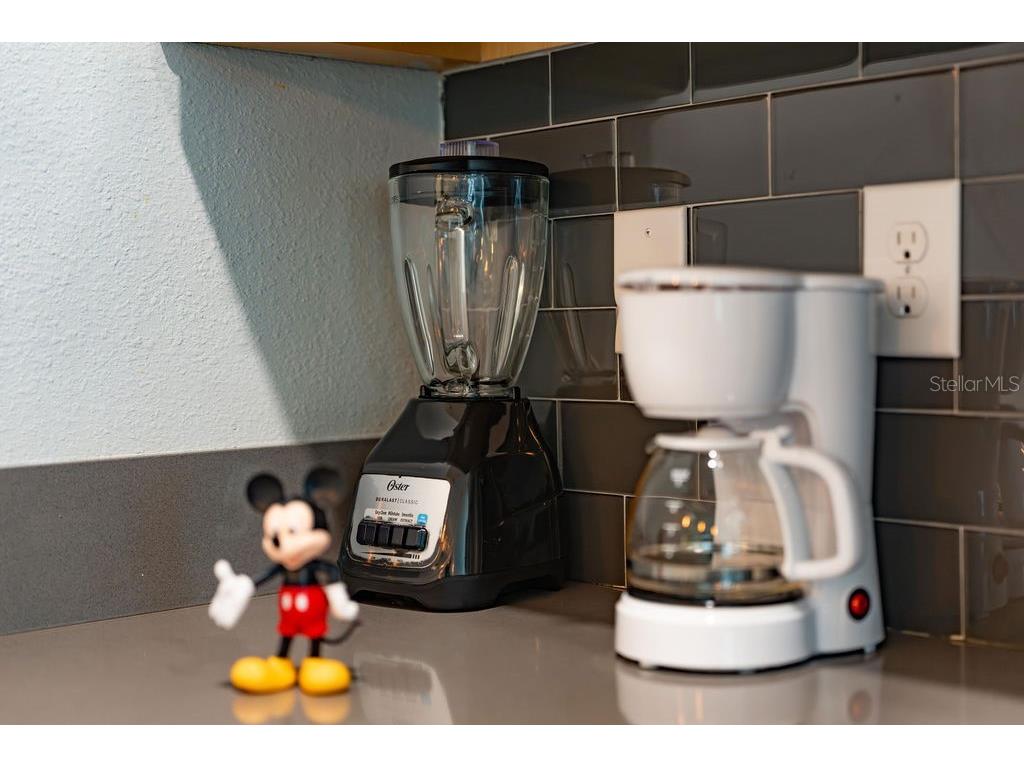 4828 Dedication Street Kissimmee FL 34746 O6367374 image76