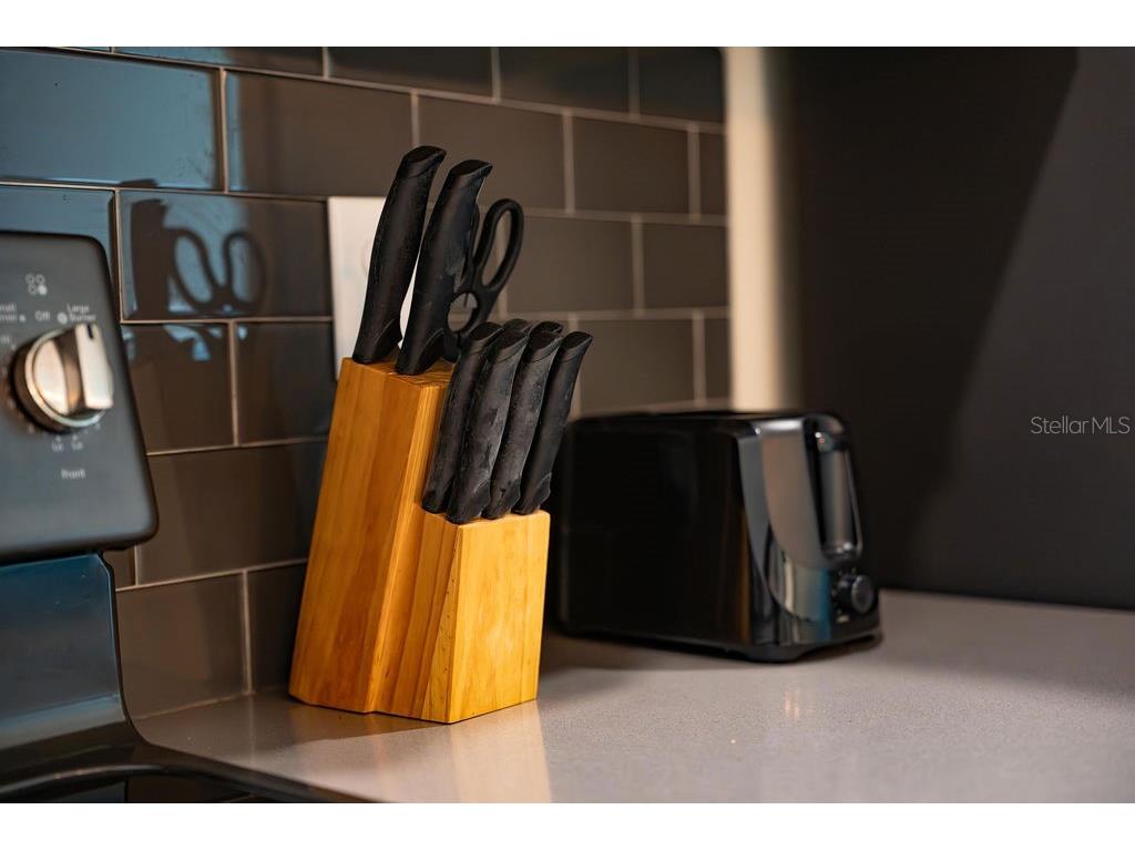 4828 Dedication Street Kissimmee FL 34746 O6367374 image77