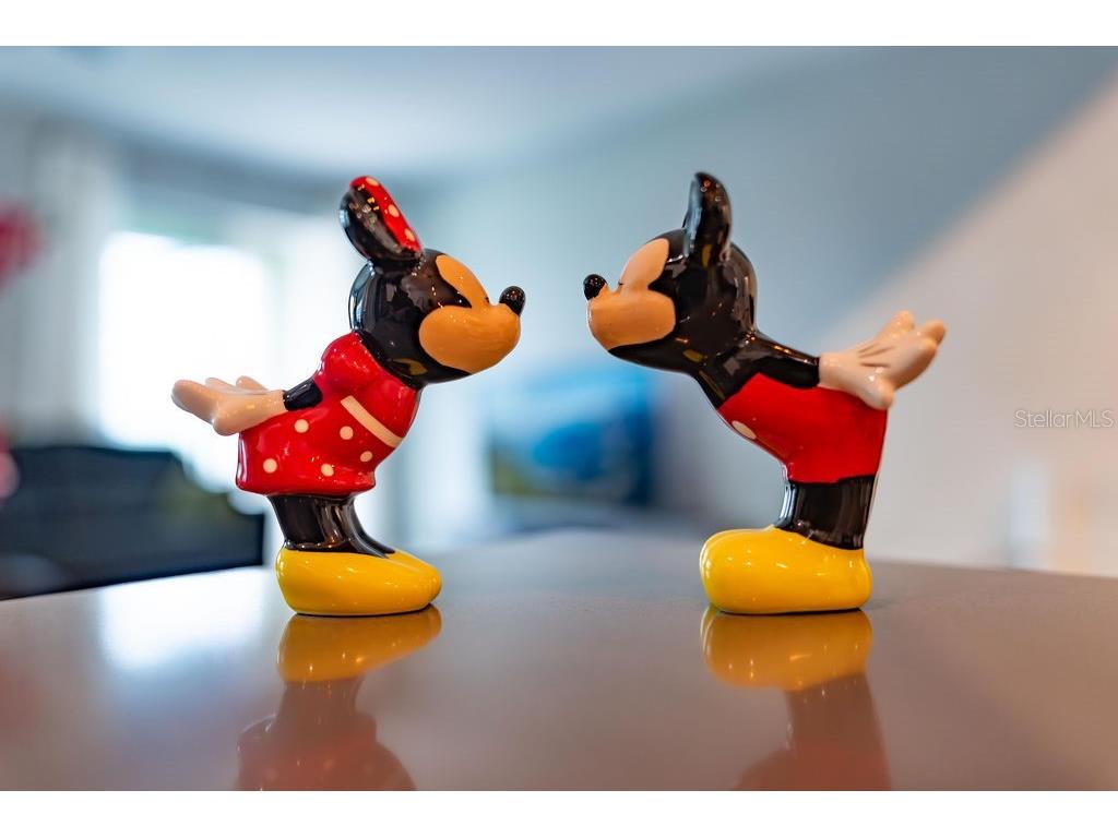 4828 Dedication Street Kissimmee FL 34746 O6367374 image78