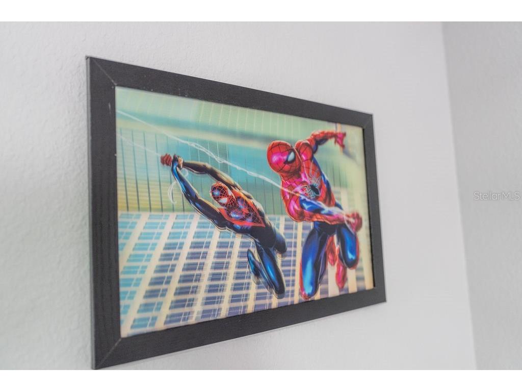 4828 Dedication Street Kissimmee FL 34746 O6367374 image8