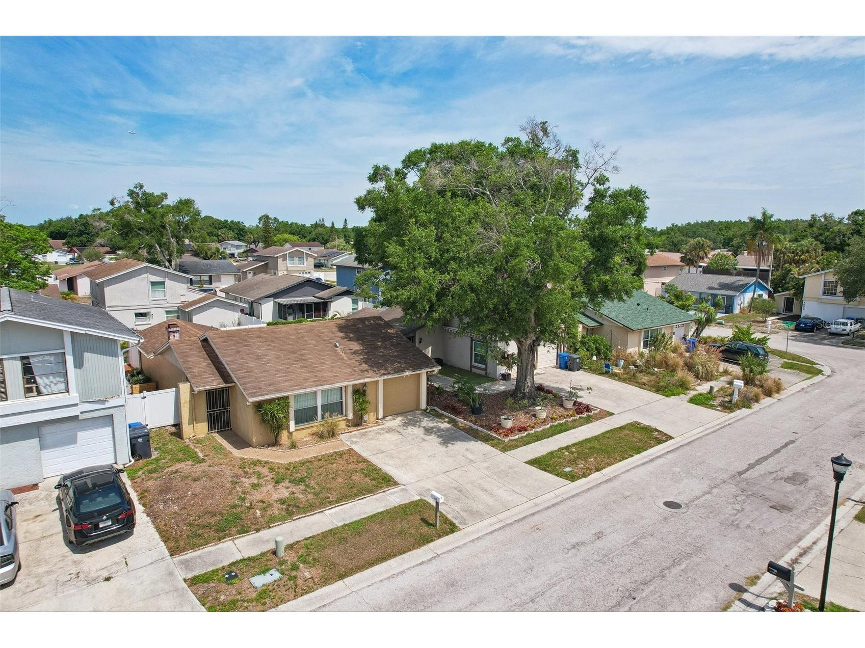 4828 Grove Point Drive Tampa FL 33624 TB8506985 image1