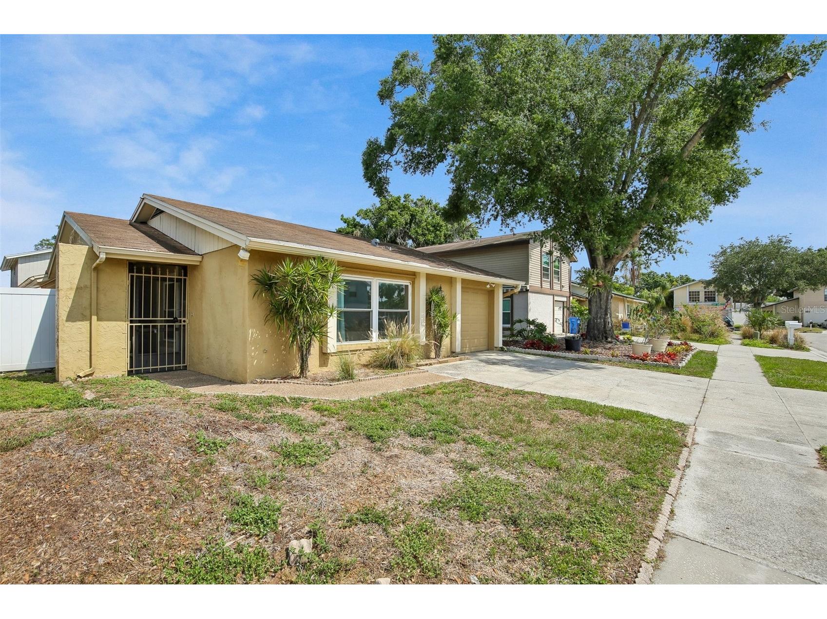 4828 Grove Point Drive Tampa FL 33624 TB8506985 image17