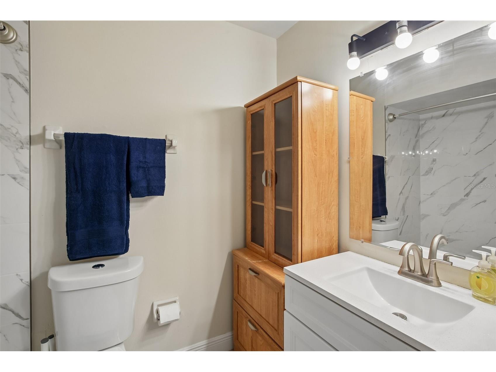 4828 Grove Point Drive Tampa FL 33624 TB8506985 image24