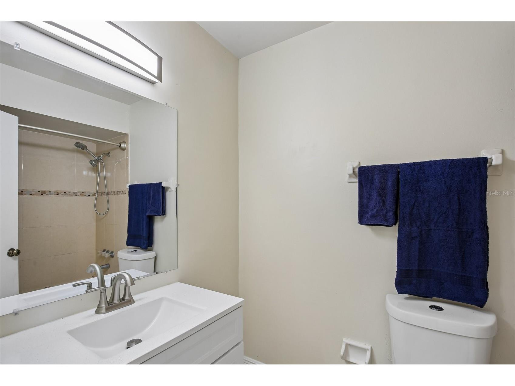 4828 Grove Point Drive Tampa FL 33624 TB8506985 image28