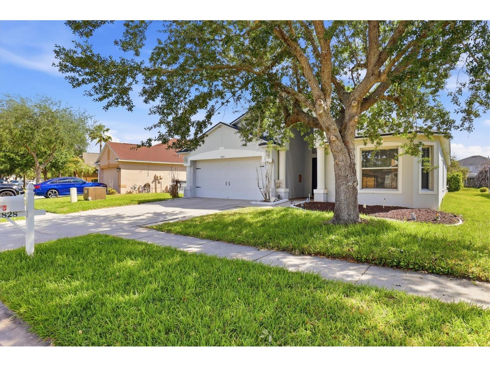 4828 Wessex Way Land O Lakes FL 34639 W7885122 image3