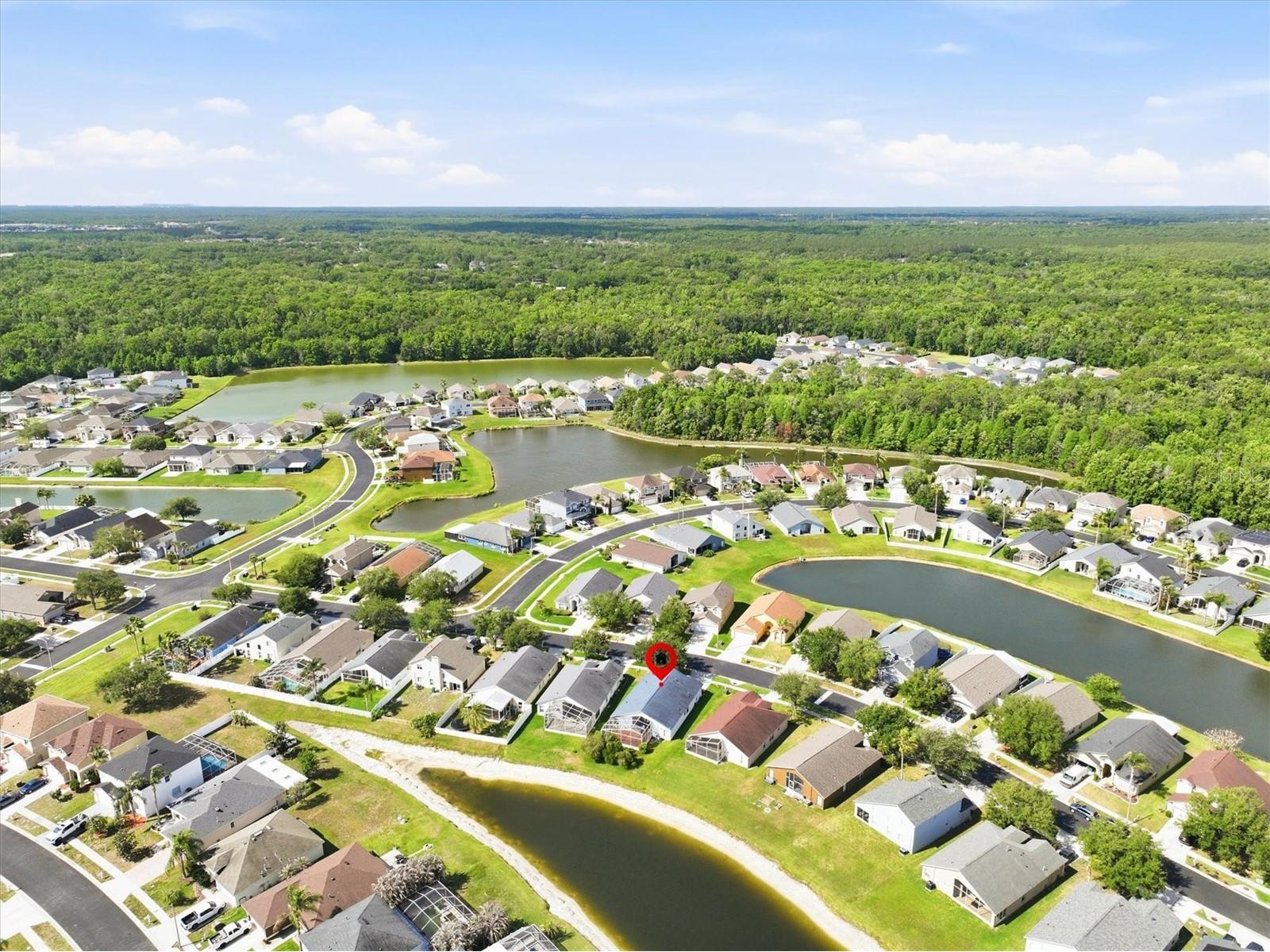 4828 Wessex Way Land O Lakes FL 34639 W7885122 image46
