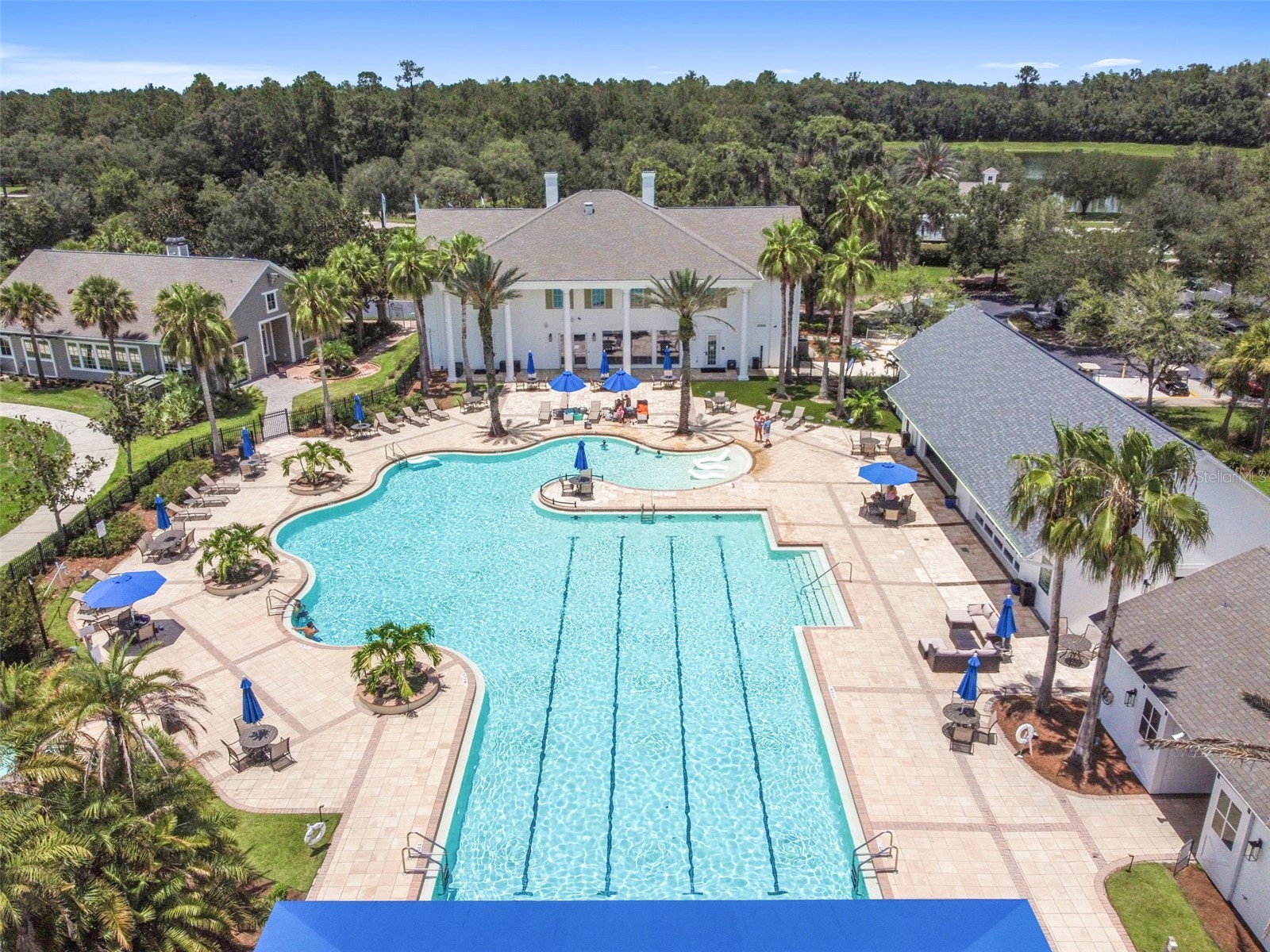 4829 Hickory Oak Drive Brooksville FL 34601 TB8493162 image52