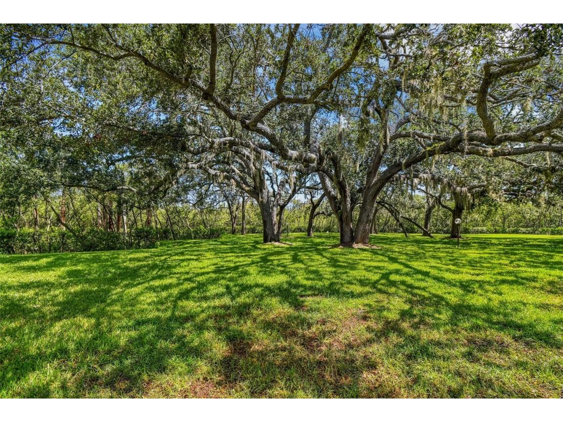 4829 Onyx Lane #101 New Port Richey FL 34652 TB8412955 image28