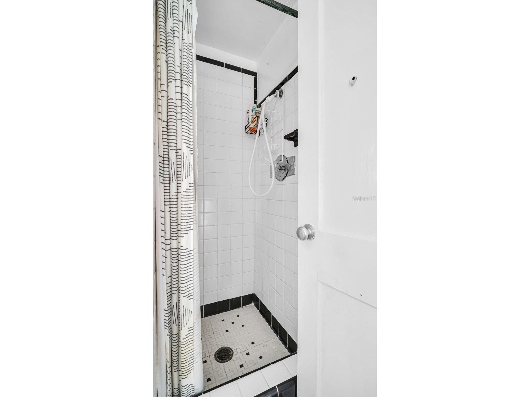 483 E Shore Drive #D3 Clearwater Beach FL 33767 TB8323285 image14