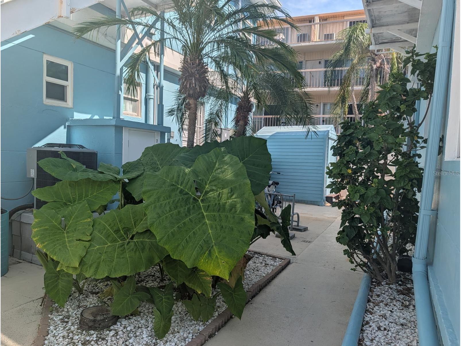 483 E Shore Drive #D6 Clearwater Beach FL 33767 - INTRA-COASTAL WATERWAY TB8528393 image14