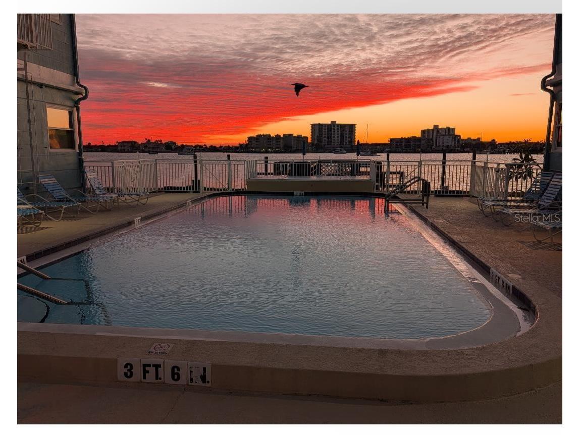 483 E Shore Drive #D6 Clearwater Beach FL 33767 - INTRA-COASTAL WATERWAY TB8528393 image6