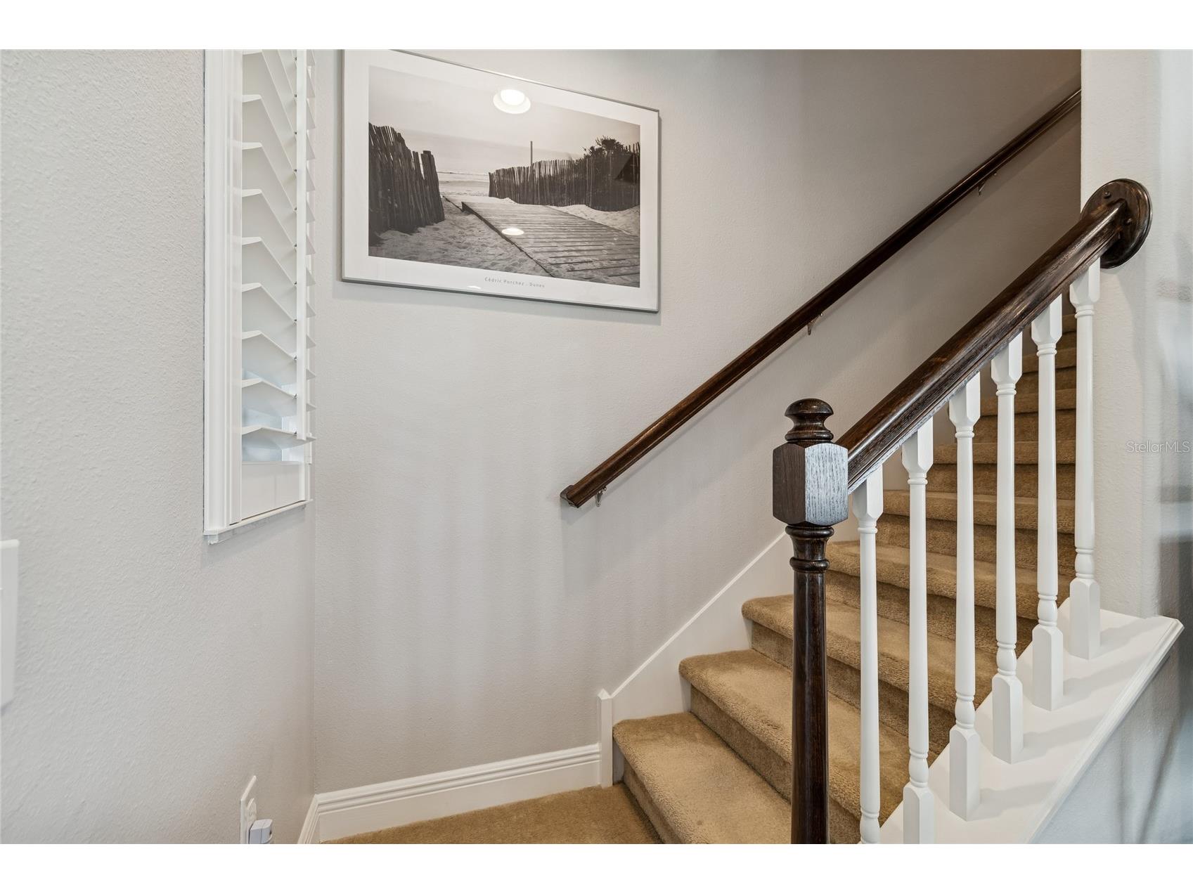 483 Harbor Springs Drive Palm Harbor FL 34683 TB8432595 image18