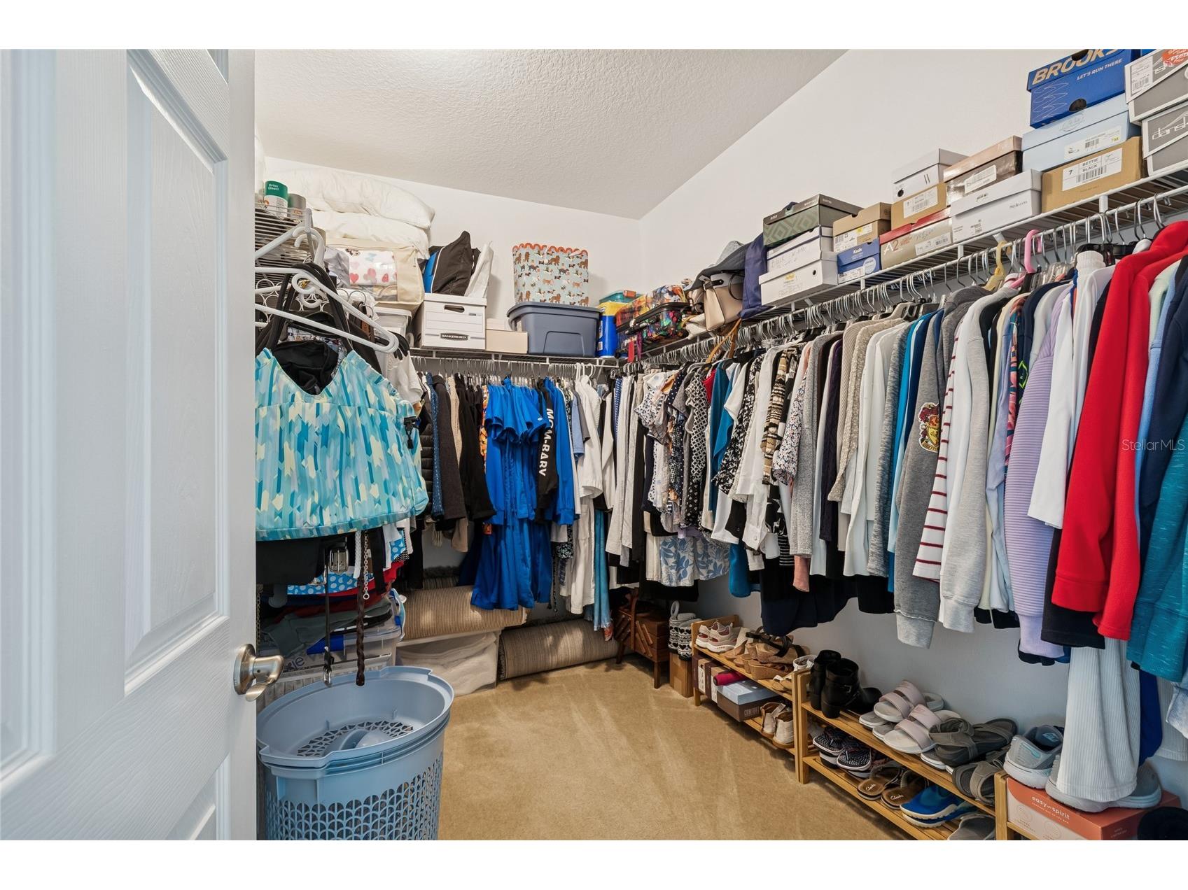 483 Harbor Springs Drive Palm Harbor FL 34683 TB8432595 image25