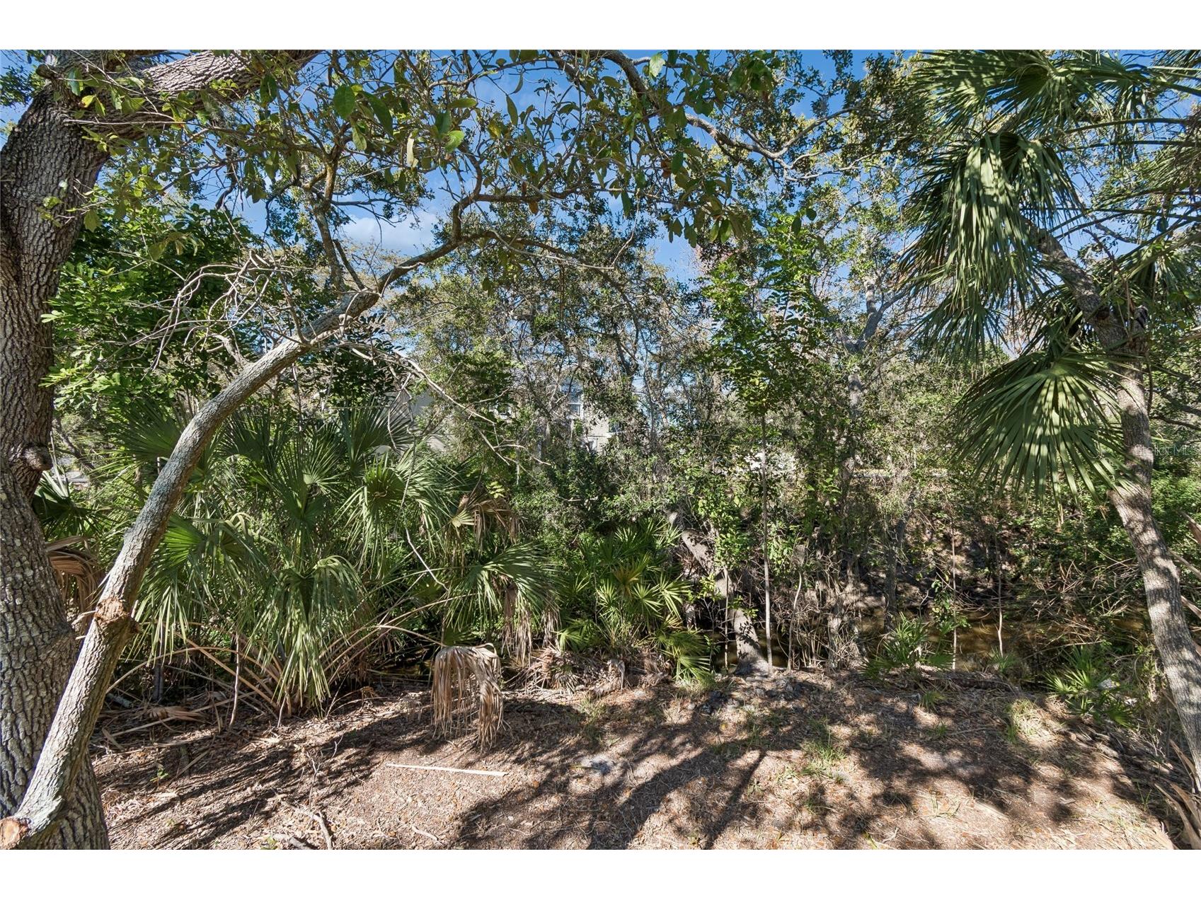 483 Harbor Springs Drive Palm Harbor FL 34683 TB8432595 image36