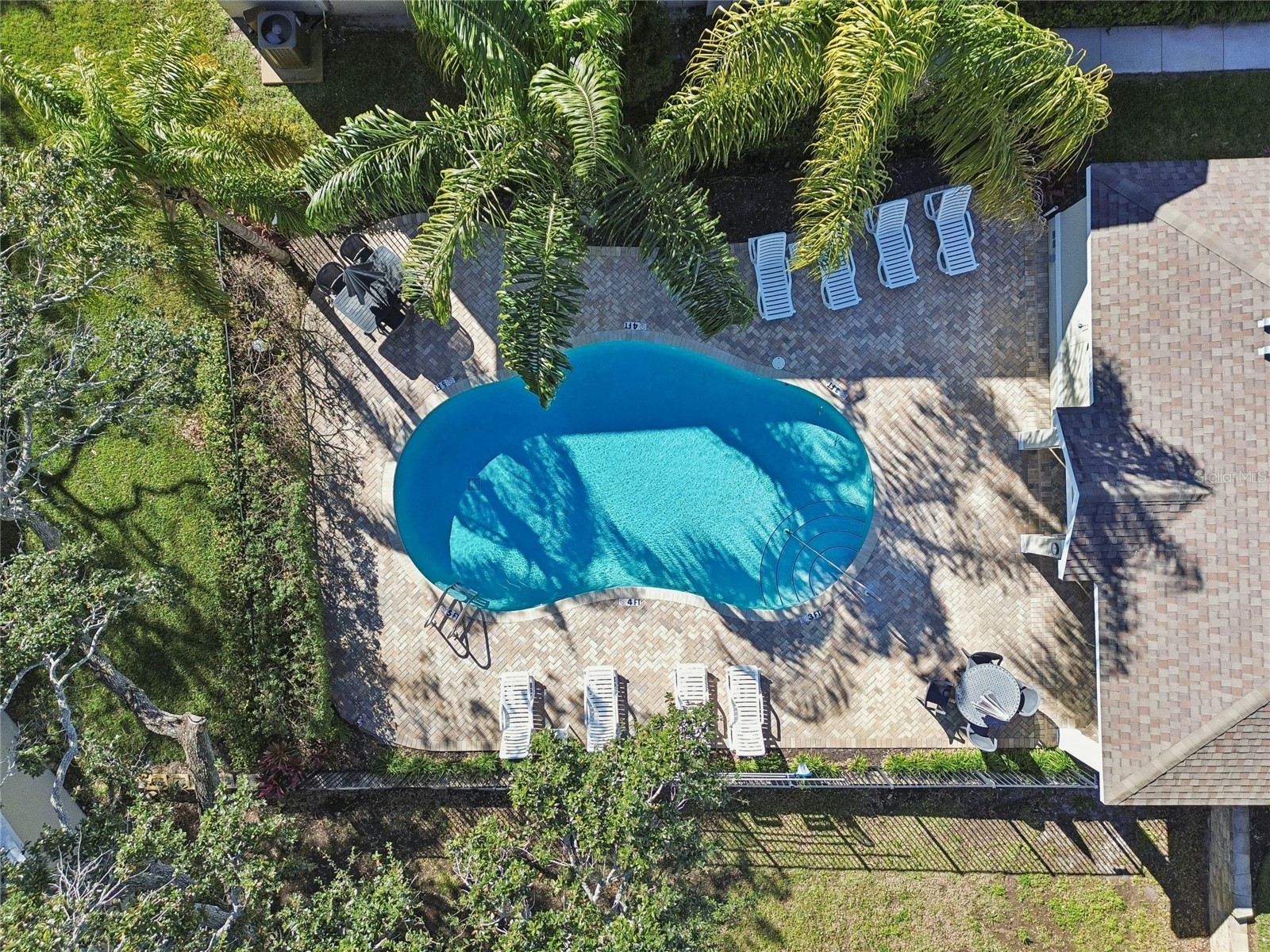 483 Harbor Springs Drive Palm Harbor FL 34683 TB8432595 image42