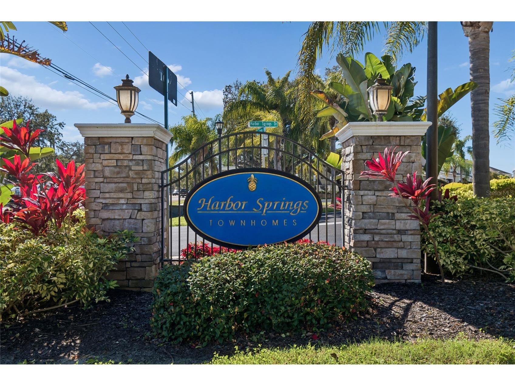 483 Harbor Springs Drive Palm Harbor FL 34683 TB8432595 image43