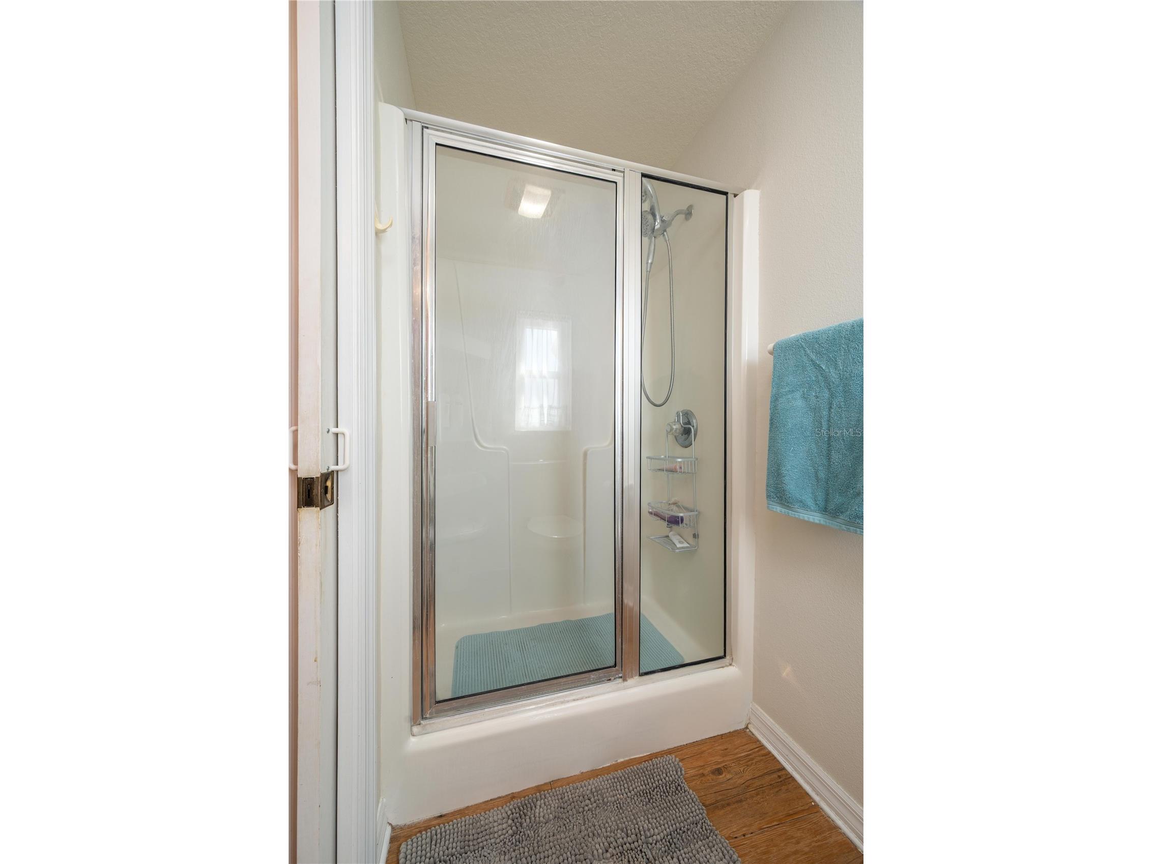 483 Lake Suzanne Drive Lake Wales FL 33859 P4938024 image17