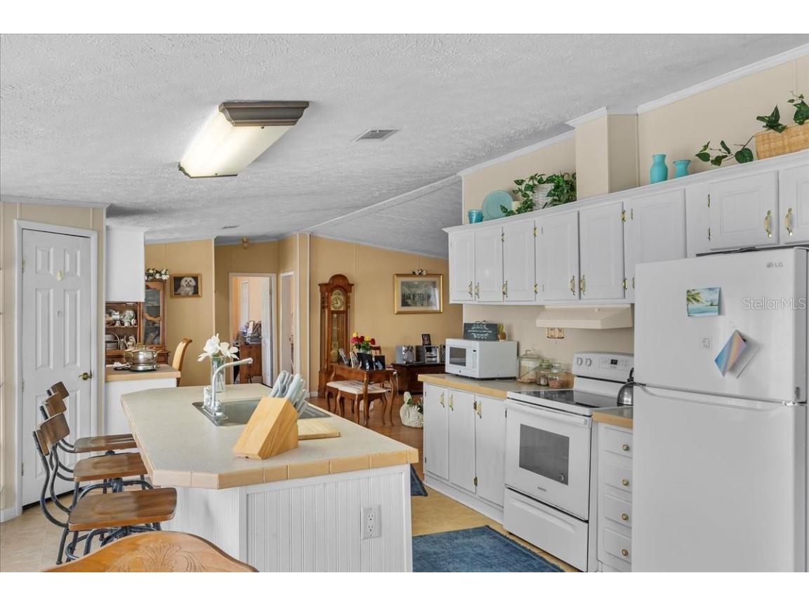 483 Lindsey Drive Lakeland FL 33809 L4954819 image16