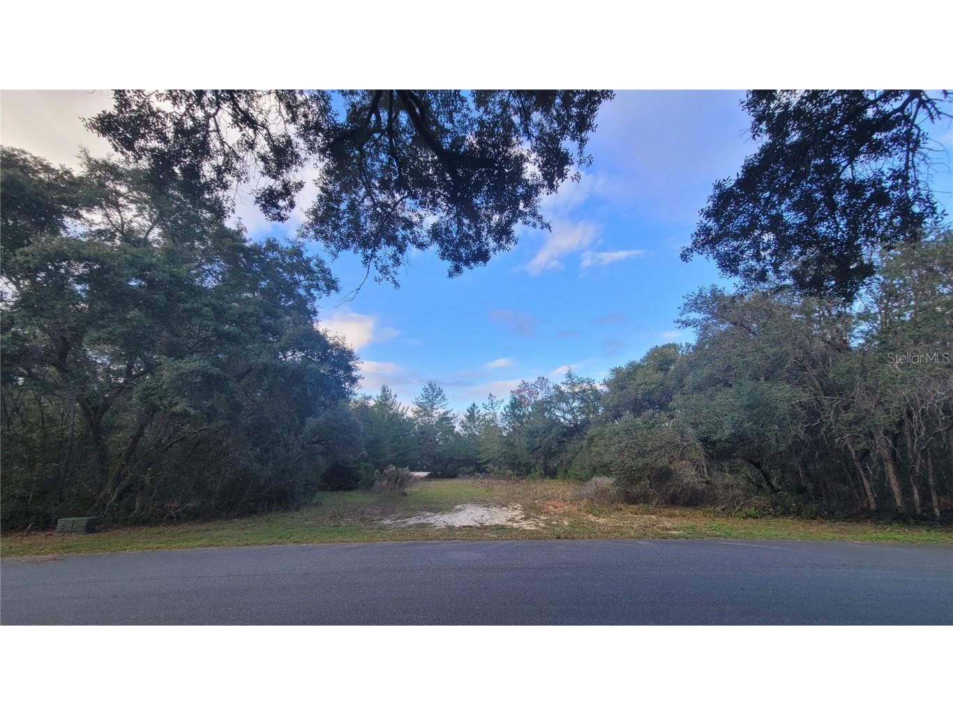 483 Marion Oaks Golf Road Ocala FL 34473 OM650194 image1