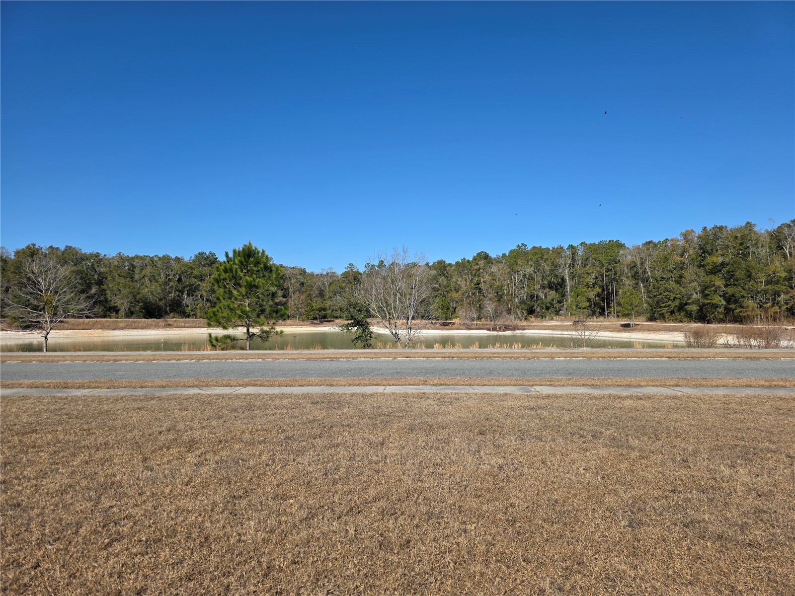 483 SW Bellflower Drive Lake City FL 32024 GC537341 image43