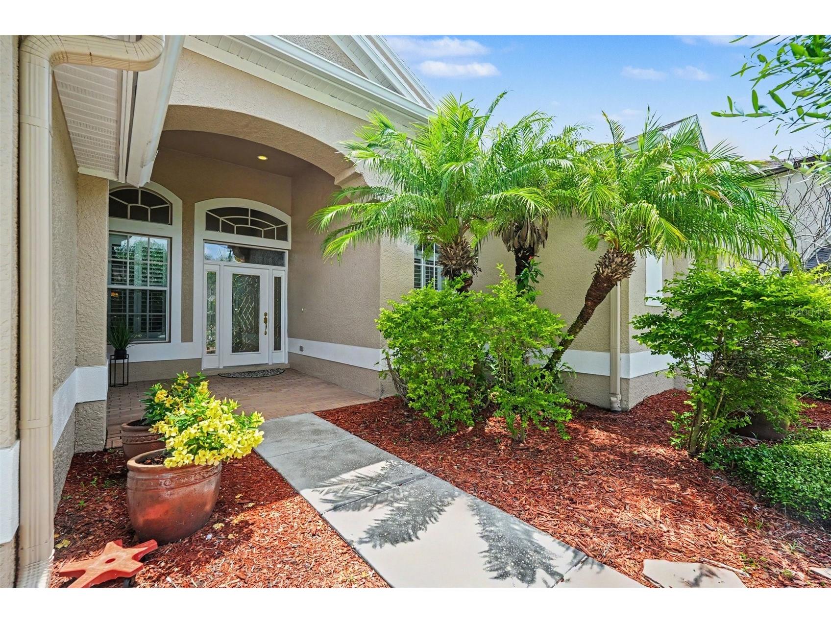 4830 Artesian Road Land O Lakes FL 34638 TB8500572 image5