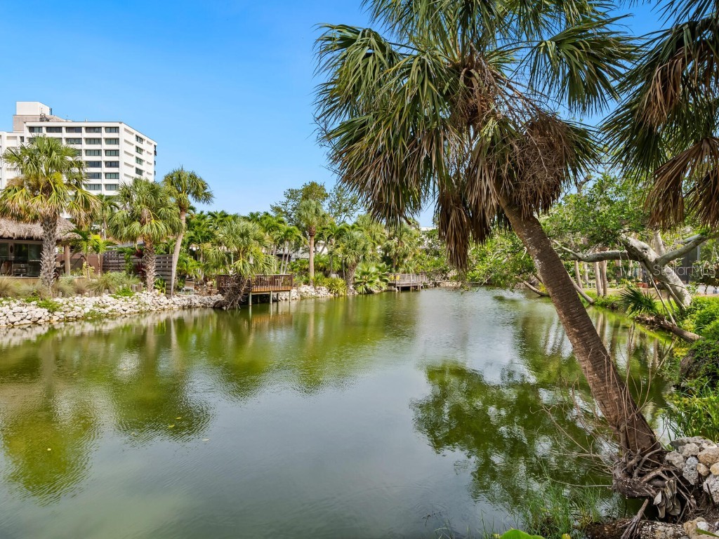 4830 Estrada De Costa Sarasota FL 34242 - LAKE RITTWOOD A4666867 image9