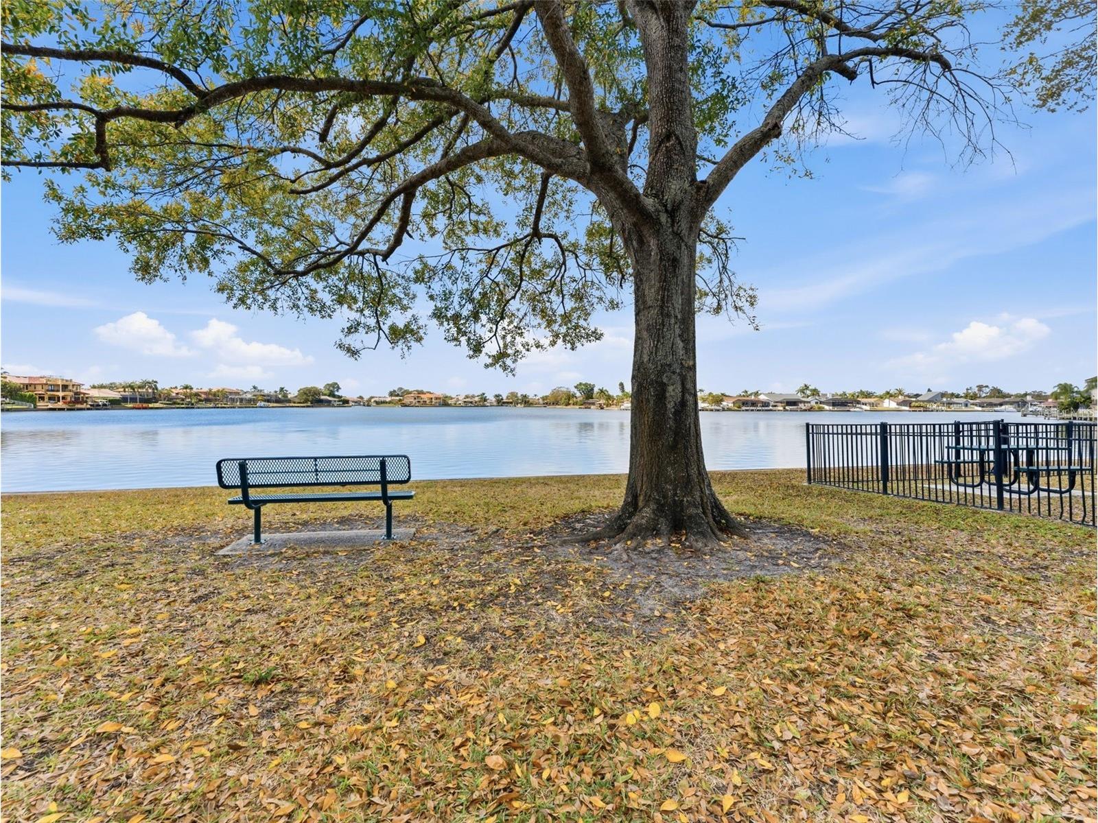 4830 Longwater Way Tampa FL 33615 TB8479322 image57