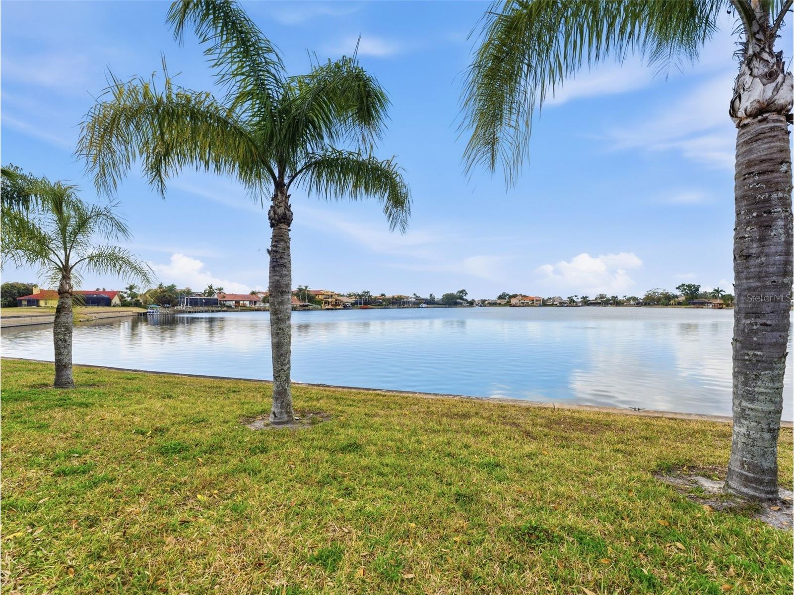 4830 Longwater Way Tampa FL 33615 TB8479322 image58