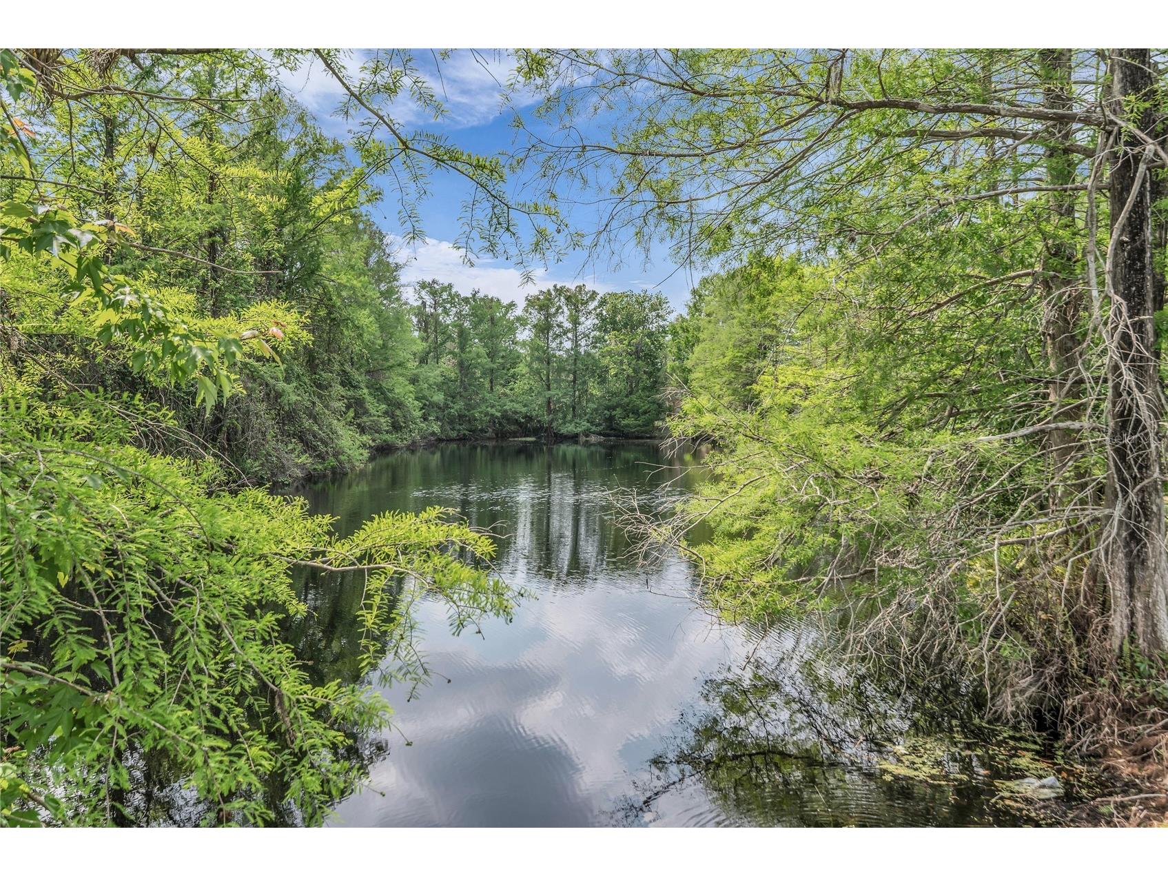 4830 S Semoran Boulevard #1108 Orlando FL 32822 S5146331 image33