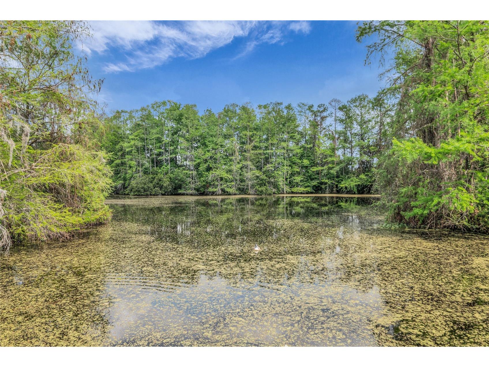 4830 S Semoran Boulevard #1108 Orlando FL 32822 S5146331 image34