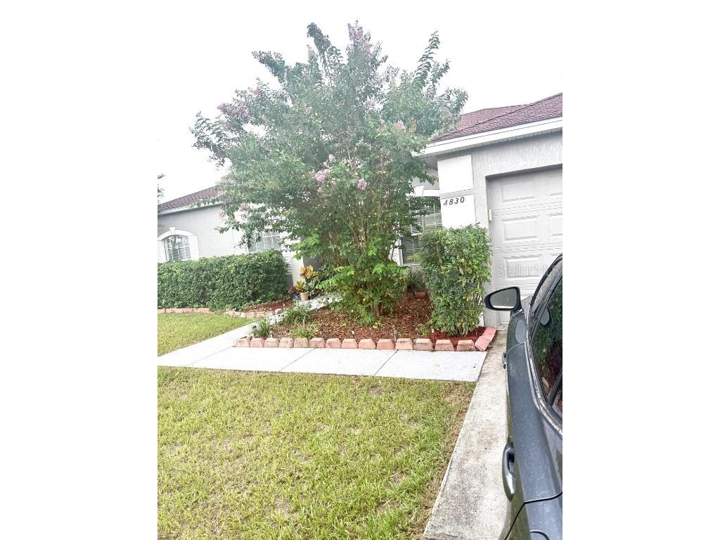 4830 SW 142nd Place Road SW Ocala FL 34473 OM708366 image3