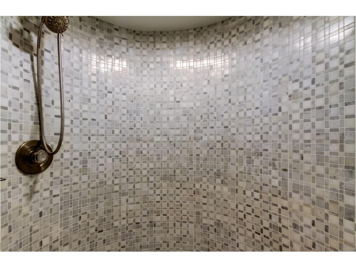 4831 Blue Jay Circle Palm Harbor FL 34683 TB8436972 image22