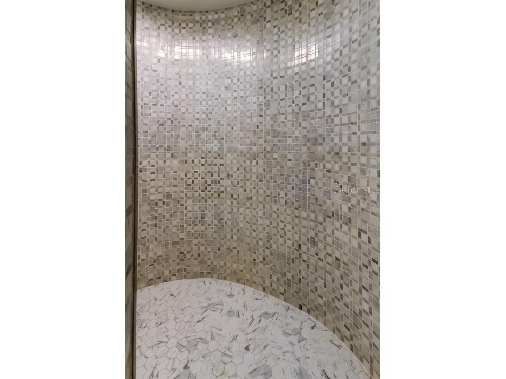 4831 Blue Jay Circle Palm Harbor FL 34683 TB8436972 image24