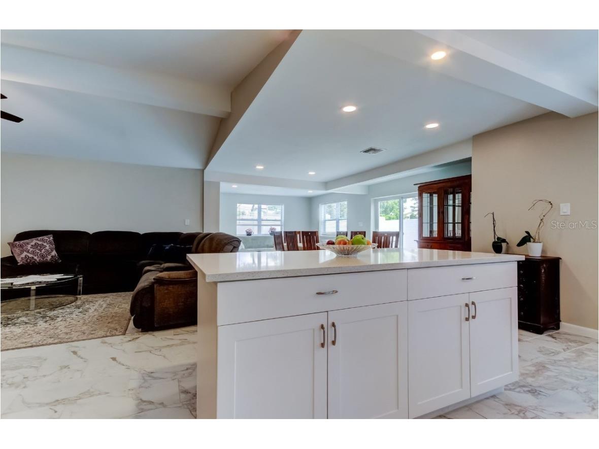 4831 Blue Jay Circle Palm Harbor FL 34683 TB8436972 image28